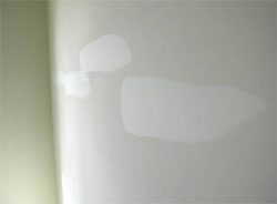 Paint Patch